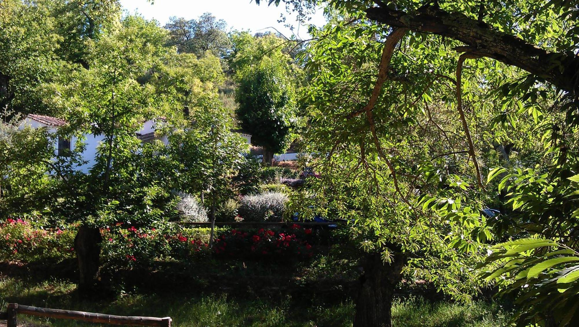 Finca Valbono Apartamentos Rurales Y Hotel อาราเซนา ภายนอก รูปภาพ