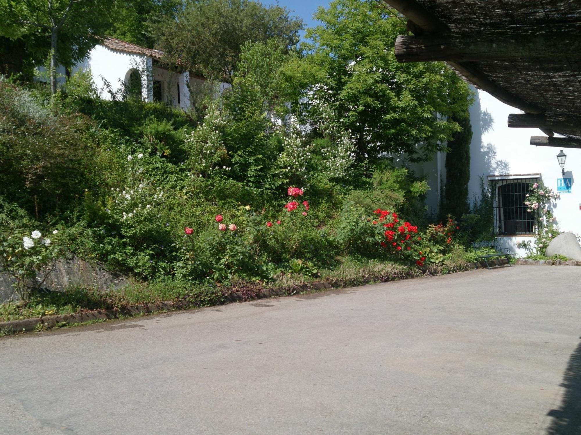 Finca Valbono Apartamentos Rurales Y Hotel อาราเซนา ภายนอก รูปภาพ